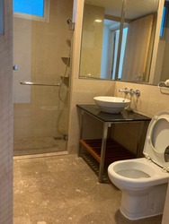 Cairnhill Crest (D9), Condominium #205427221